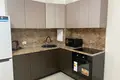 1 room apartment 42 m² in Saint Petersburg, Russia