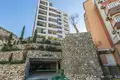 Квартира 1 спальня 53 м² Рафаиловичи, Черногория