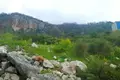 Parcelas 800 m² Sutomore, Montenegro