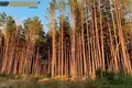 House 92 m² Zasulle, Belarus