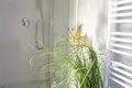 Wohnung 2 zimmer 41 m² Neu Oberhausen, Österreich