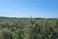 Chalet 35 000 m² Grad Rovinj, Croatia