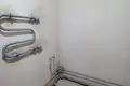 Wohnung 2 zimmer 46 m² Minsk, Belarus