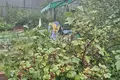 Haus 40 m² Gorodez, Russland