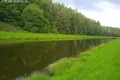 Land  Pyatryshki, Belarus