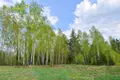 Земельные участки  Логойский сельский Совет, Беларусь