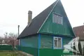 Haus 45 m² Kamianica Zyravieckaja, Weißrussland