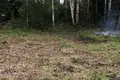 Land  Saskouski sielski Saviet, Belarus