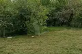 Haus 41 m² Ravanicy, Belarus