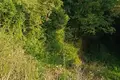 Land  Kunje, Montenegro