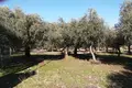 Земельные участки  Скала Сотирос, Греция