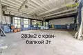 Gewerbefläche 510 m² Holacki sielski Saviet, Weißrussland