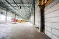 Manufacture 5 rooms 3 983 m² in Krychau, Belarus