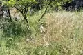 1 bedroom house 69 m² Danilovgrad, Montenegro