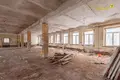 Коммерческое помещение 1 300 м² Марьина Горка, Беларусь