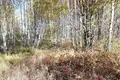 Land 1 200 m² gorodskoy okrug Bor, Russia