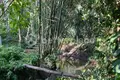 Land  Tumbak Bayuh, Indonesia
