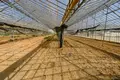 Willa 9 pokojów 4 664 m² w Alanya, Turcja