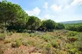 Land  Union Hill-Novelty Hill, Spain