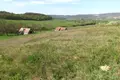 Land 5 759 m² Monoszlo, Hungary