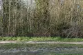 Земельные участки  Гатчинский муниципальный округ, Россия