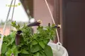Appartement 103 m² Minsk, Bélarus