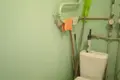 2 room apartment 43 m² Minsk, Belarus