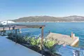 4 bedroom Villa 300 m² Montenegro, Montenegro