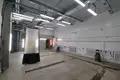 Gewerbefläche 195 m² in Minsk, Belarus