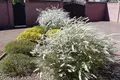 Maison 550 m² Veliky Vrag, Russie