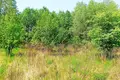 Atterrir 1 438 m² Pniewo, Pologne