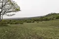 Land  Ambrolauri Municipality, Georgia