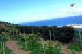Wohnung 29 520 m² Buenavista del Norte, Spanien