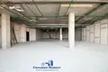 Commercial property 200 m² in Minsk, Belarus