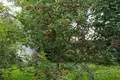 Działki  Anninskoe gorodskoe poselenie, Rosja