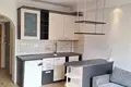 1 room apartment 25 m² in Huntersville, United States