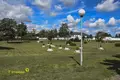 Commercial property 2 547 m² in Nyasvizh, Belarus