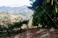 Atterrir  Kobuleti, Géorgie