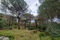 Land 1 150 m² Zagora, Montenegro