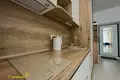 1 room apartment 28 m² Minsk, Belarus
