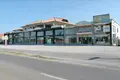 Commercial property 2 000 m² in Nea Trapezounta, Greece