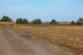 Land 20 800 m² Strzepin, Poland