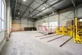 Manufacture 5 rooms 3 983 m² in Krychau, Belarus