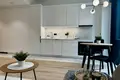 Wohnung 1 zimmer 33 m² in Warschau, Polen