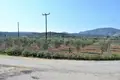 Land 4 300 m² Peloponnese Region, Greece