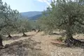 Grundstück 2 000 m² Region Peloponnes, Griechenland