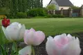 6 room house 350 m² Spunciems, Latvia