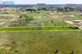 Land  Riese, Lithuania