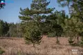Parcelas  Mazieji Lygainiai, Lituania