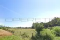 Land 20 974 m² crnec Rugvicki, Croatia